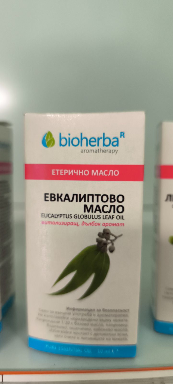 Еквалиптово