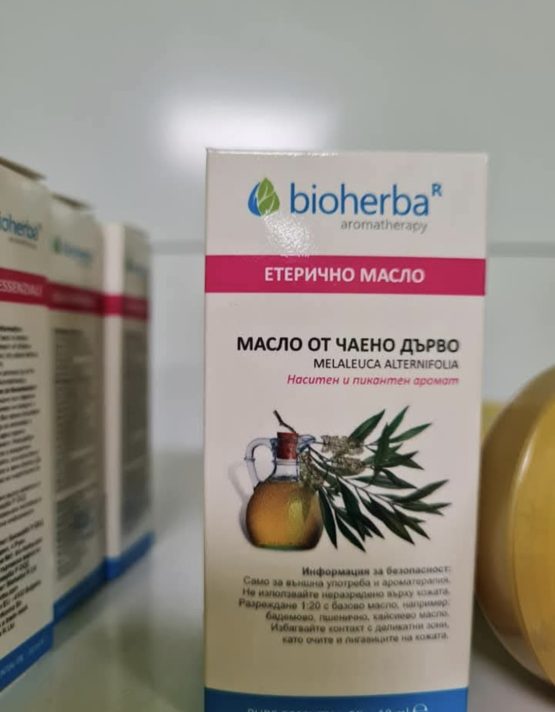 МАСЛО ОТ ЧАЕНО ДЪРВО